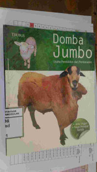 Image of DOMBA JUMBO : USAHA PEMBIBITAN DAN PEMBESARAN