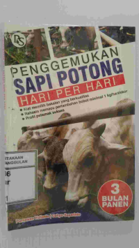Image of Penggemukan sapi sapi potong per hari