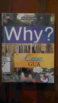 Image of Why ? Cave
