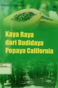Image of Kaya raya dari budidaya pepaya california