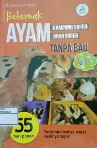 Image of Beternak ayam kampung super, jawa super tanpa bau